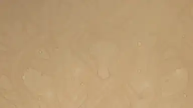 Odin's Rune screenshot 7