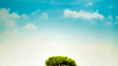 Cute Weather Widget screenshot 2