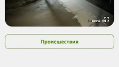 Фридом screenshot 1