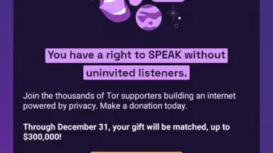 Tor Browser screenshot 25