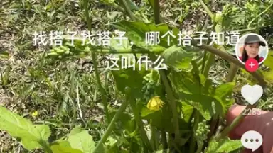 Douyin Express Edition screenshot 1
