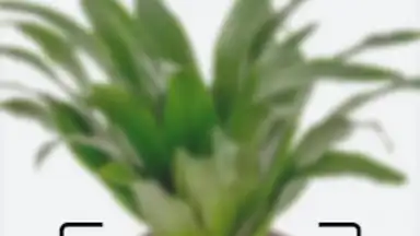 Леруа Мерлен screenshot 4