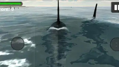 Orca Simulator screenshot 5