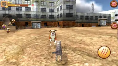 HomelessCat screenshot 1