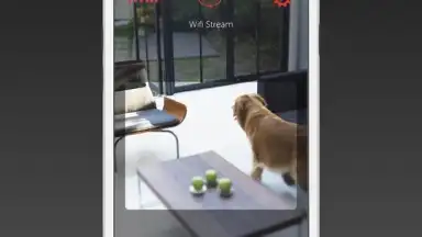 Manything screenshot 5