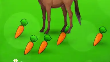 My Horse Prince screenshot 6