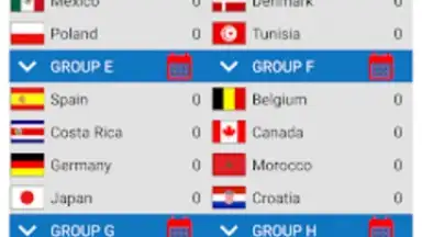 World Football Simulator screenshot 11