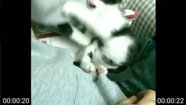 VideoShow screenshot 5