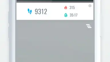 Pedometer screenshot 1
