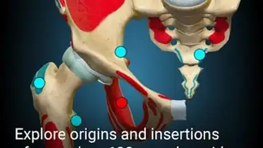 3D Anatomy Learning screenshot 2