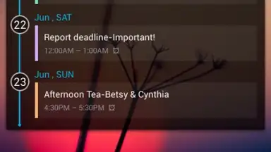 GO Calendar Widget screenshot 5