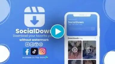 SocialDown: no watermark screenshot 1