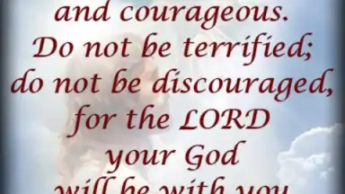 Bible Quotes Live Wallpaper screenshot 4