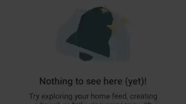 Pinterest screenshot 18
