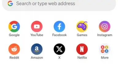 Phoenix Browser screenshot 1