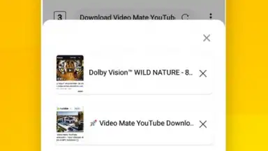 Vidora YouTube Downloader | free & fast screenshot 11