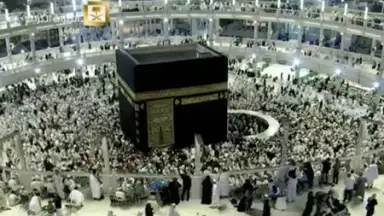 Halal Check screenshot 4