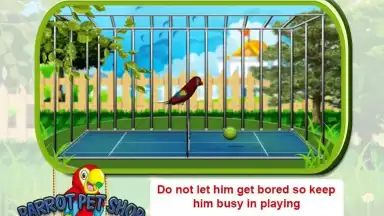 Parrot Pet Shop screenshot 2
