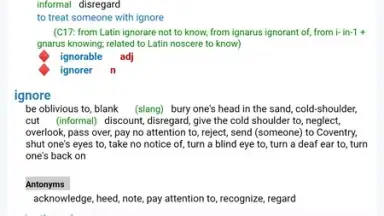 Reverso Translation Dictionary screenshot 21