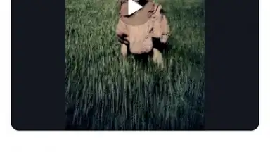 Alight Motion screenshot 4
