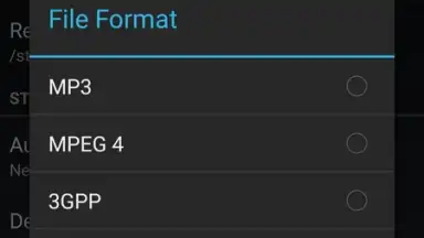 MP3 Call Recorder screenshot 3