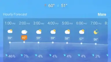 Local Weather Widget screenshot 1