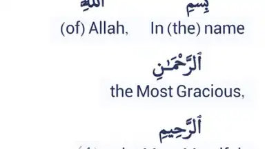 Halal Check screenshot 3
