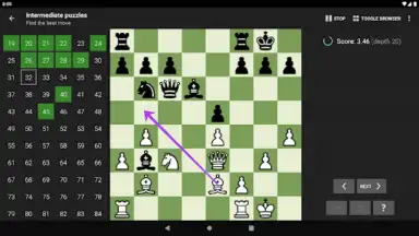 Chess Tactics Pro screenshot 8