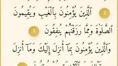 Noor Islam screenshot 5