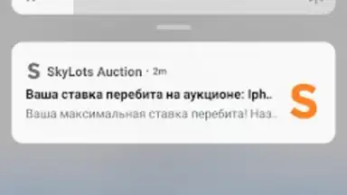 SkyLots: аукцион и маркетплейс screenshot 1