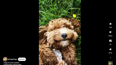 YouTube (Android Auto) screenshot 1