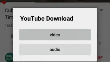 YouTube Download screenshot 2