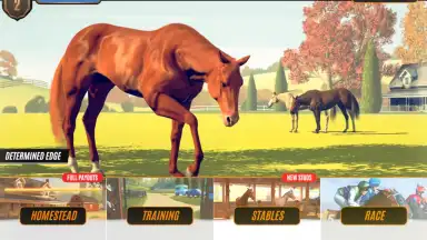 Rival Stars Horse Racing screenshot 4