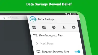 Puffin Browser Pro screenshot 8