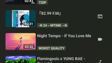 YTDLnis screenshot 5