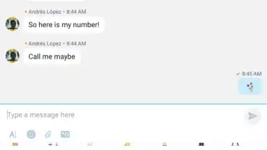 Skype Lite screenshot 13