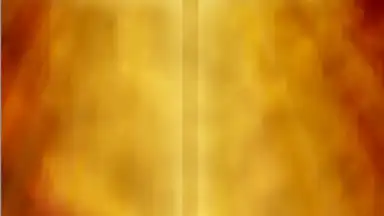 The Message Bible Free MSG screenshot 3