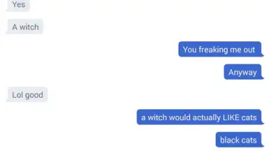 Chatous screenshot 2