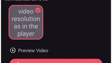 VidMad Video Downloader screenshot 3
