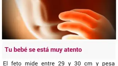 Semanas Embarazo screenshot 6