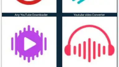 Any Video Downloader screenshot 1
