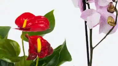 Леруа Мерлен screenshot 6