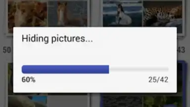 Gallery Plus - Hide Pictures screenshot 1