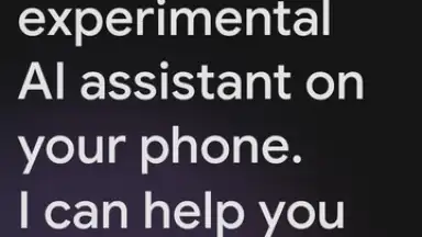 Google Gemini screenshot 1