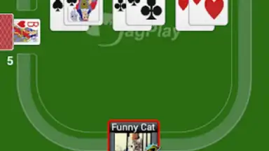 Durak Online HD screenshot 2