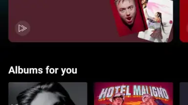 YouTube Music screenshot 10
