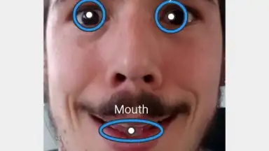 FaceSwap screenshot 3