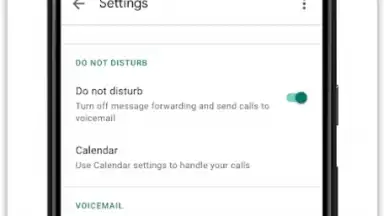 Google Voice screenshot 1