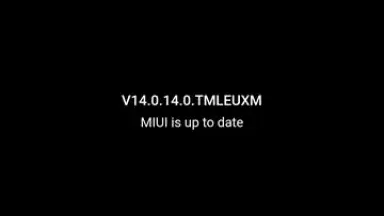 HyperOS Updater screenshot 1