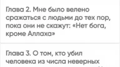 САХИХ МУСЛИМ screenshot 4
